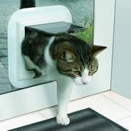 Cat flaps installed Cambridge